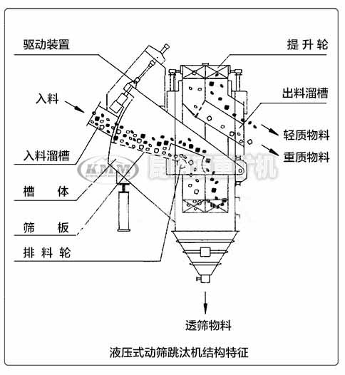 液壓式跳汰機(jī)內(nèi)部結(jié)構(gòu)特征示意圖